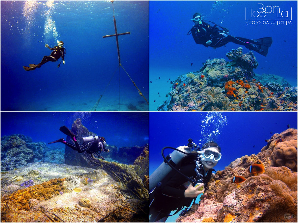 台灣潛水推薦,潛水景點,綠島潛水,小琉球潛水,蘭嶼潛水,墾丁潛水,潛立方