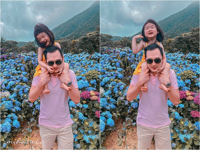 陽明山,美國度假村,高家繡球花,防疫國旅,台北景點,台北住宿,包棟