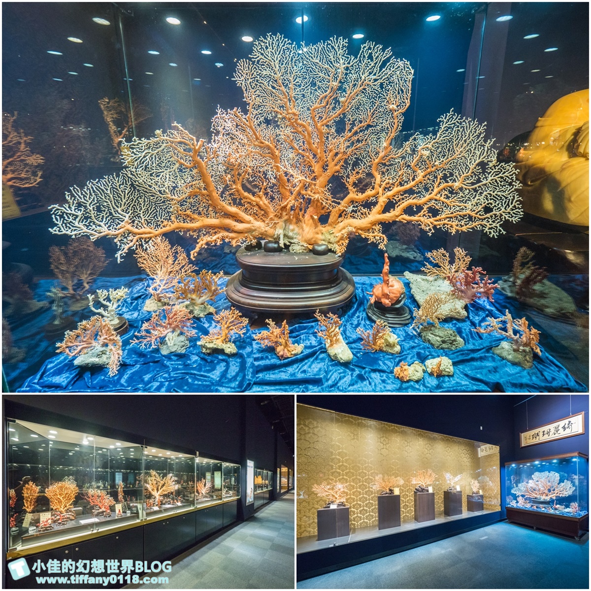 2020宜蘭綺麗童玩派對/一票玩到底/戶外氣墊水上設施+綺麗寶石博物館+蝴蝶藝術館+馬賽克DIY任妳玩超划算