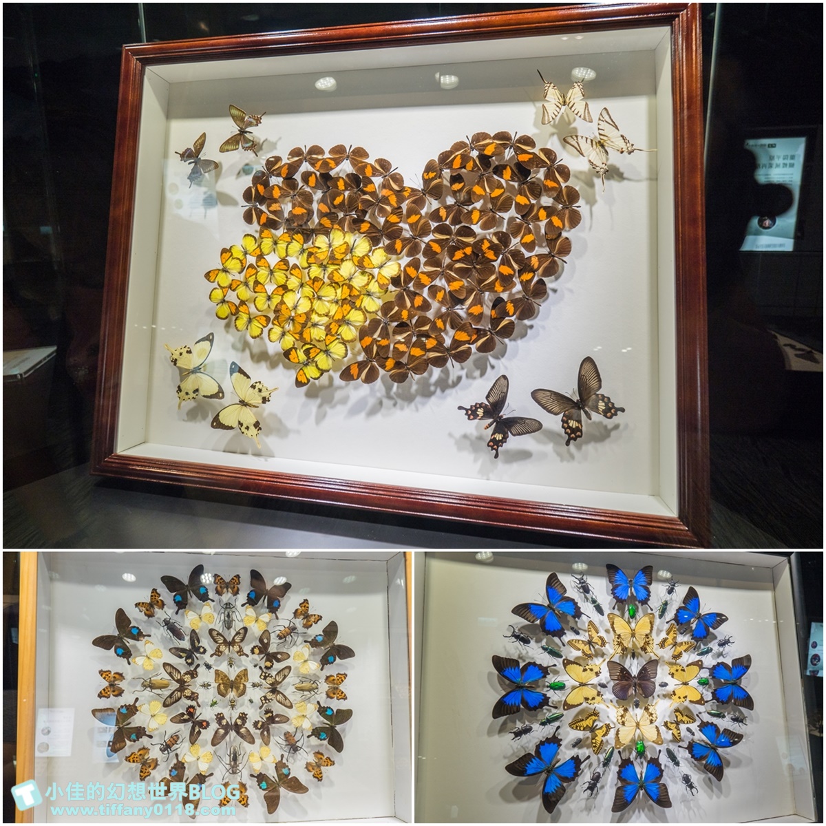 2020宜蘭綺麗童玩派對/一票玩到底/戶外氣墊水上設施+綺麗寶石博物館+蝴蝶藝術館+馬賽克DIY任妳玩超划算