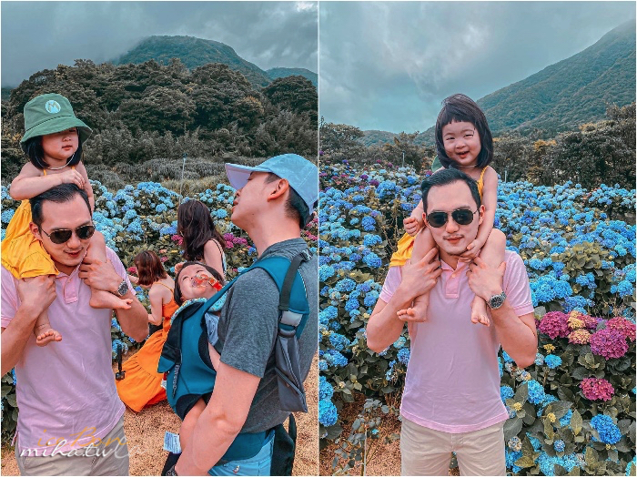 陽明山,美國度假村,高家繡球花,防疫國旅,台北景點,台北住宿,包棟