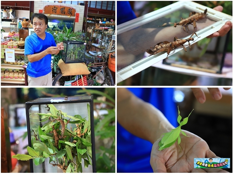 nEO_IMG_29.jpg nEO_IMG_29.jpg