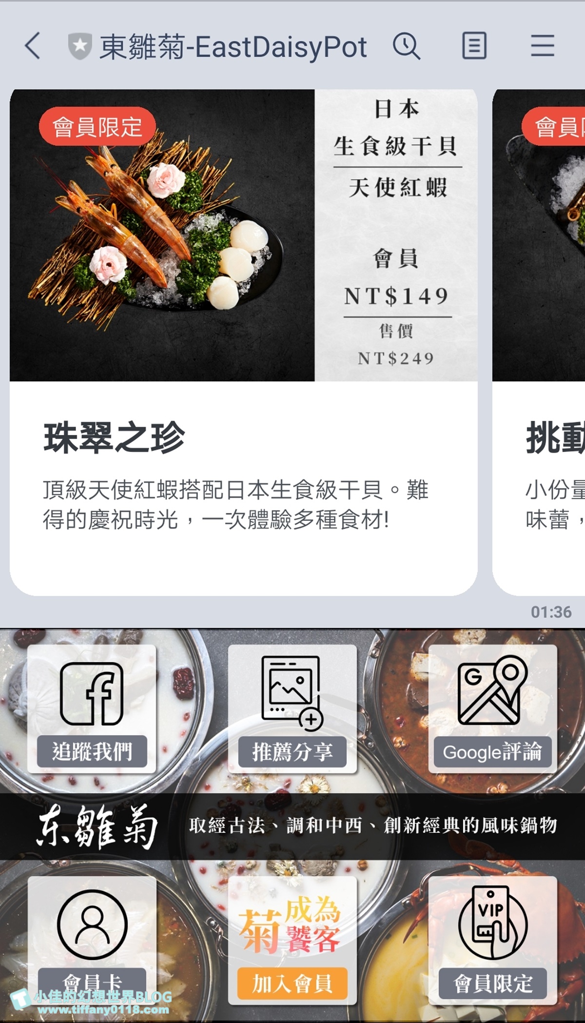 [公館美食]東雛菊風味鍋物/特色功夫湯底一喝上癮/食材用心擺盤超美的台北火鍋推薦