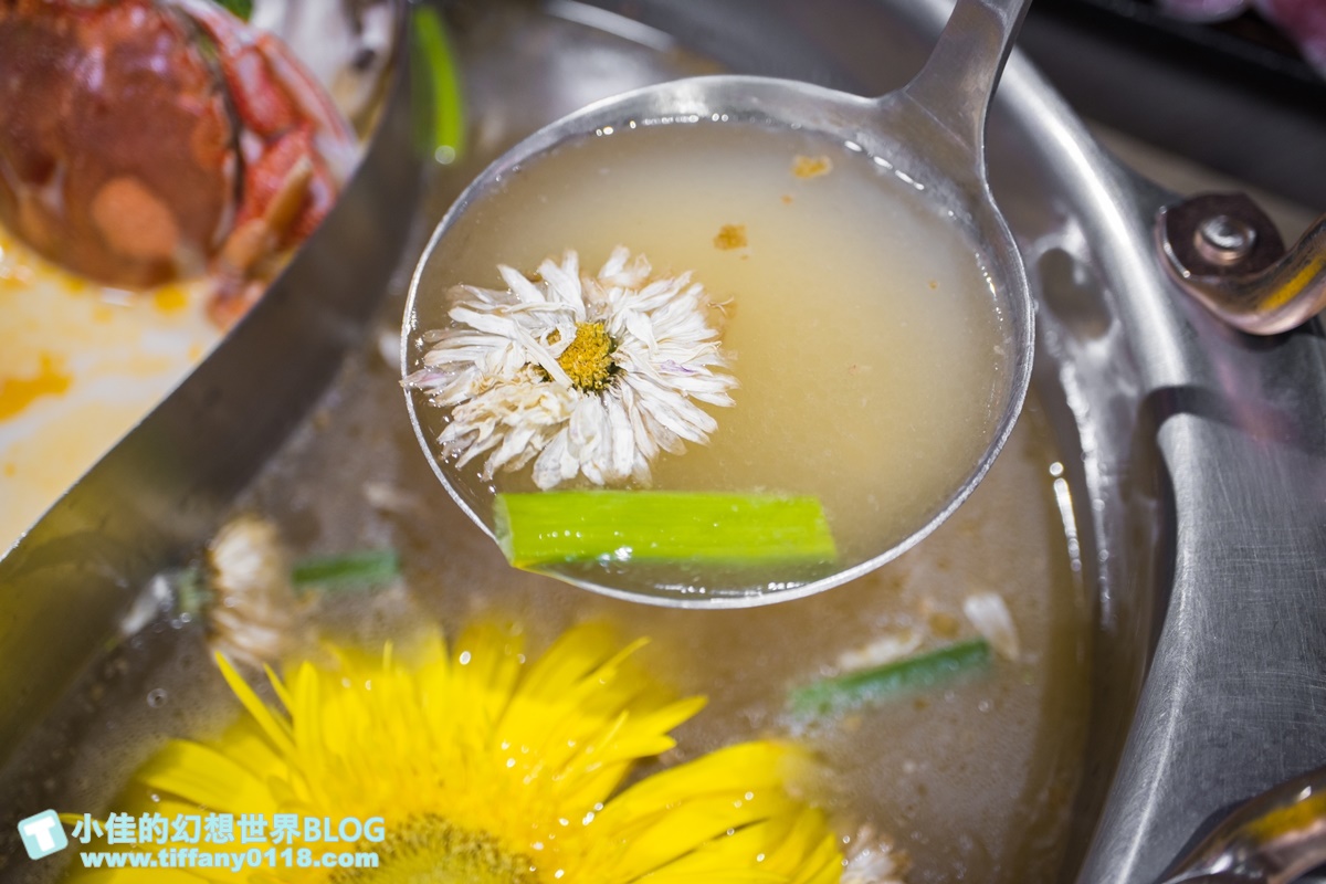 [公館美食]東雛菊風味鍋物/特色功夫湯底一喝上癮/食材用心擺盤超美的台北火鍋推薦