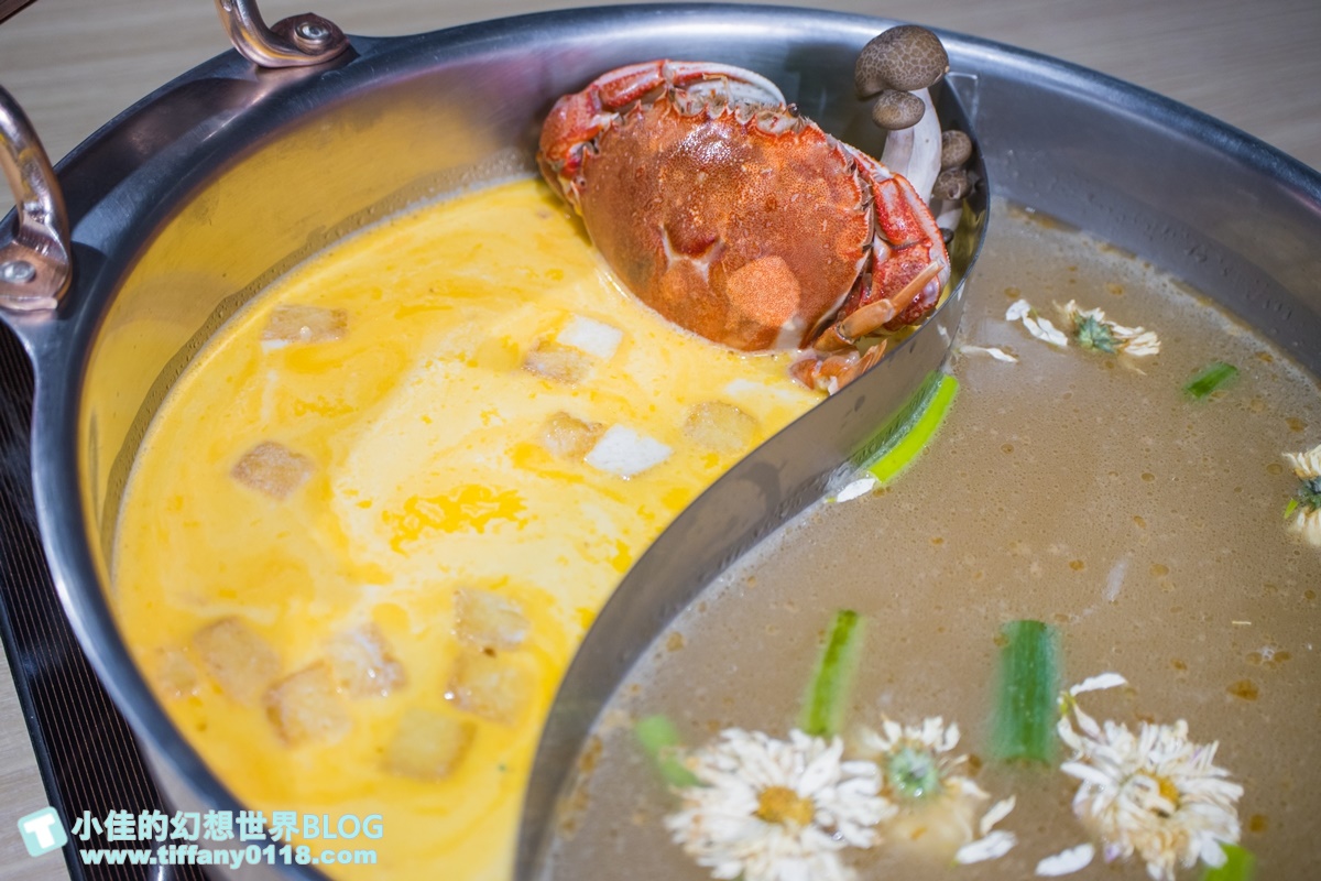 [公館美食]東雛菊風味鍋物/特色功夫湯底一喝上癮/食材用心擺盤超美的台北火鍋推薦