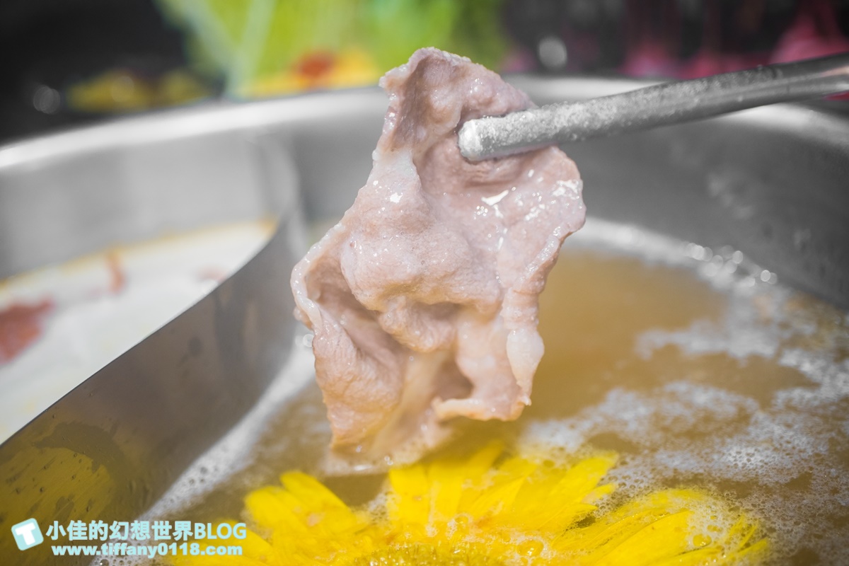[公館美食]東雛菊風味鍋物/特色功夫湯底一喝上癮/食材用心擺盤超美的台北火鍋推薦