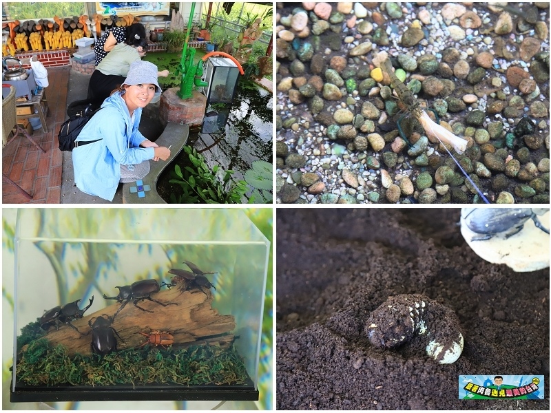 nEO_IMG_30.jpg nEO_IMG_30.jpg