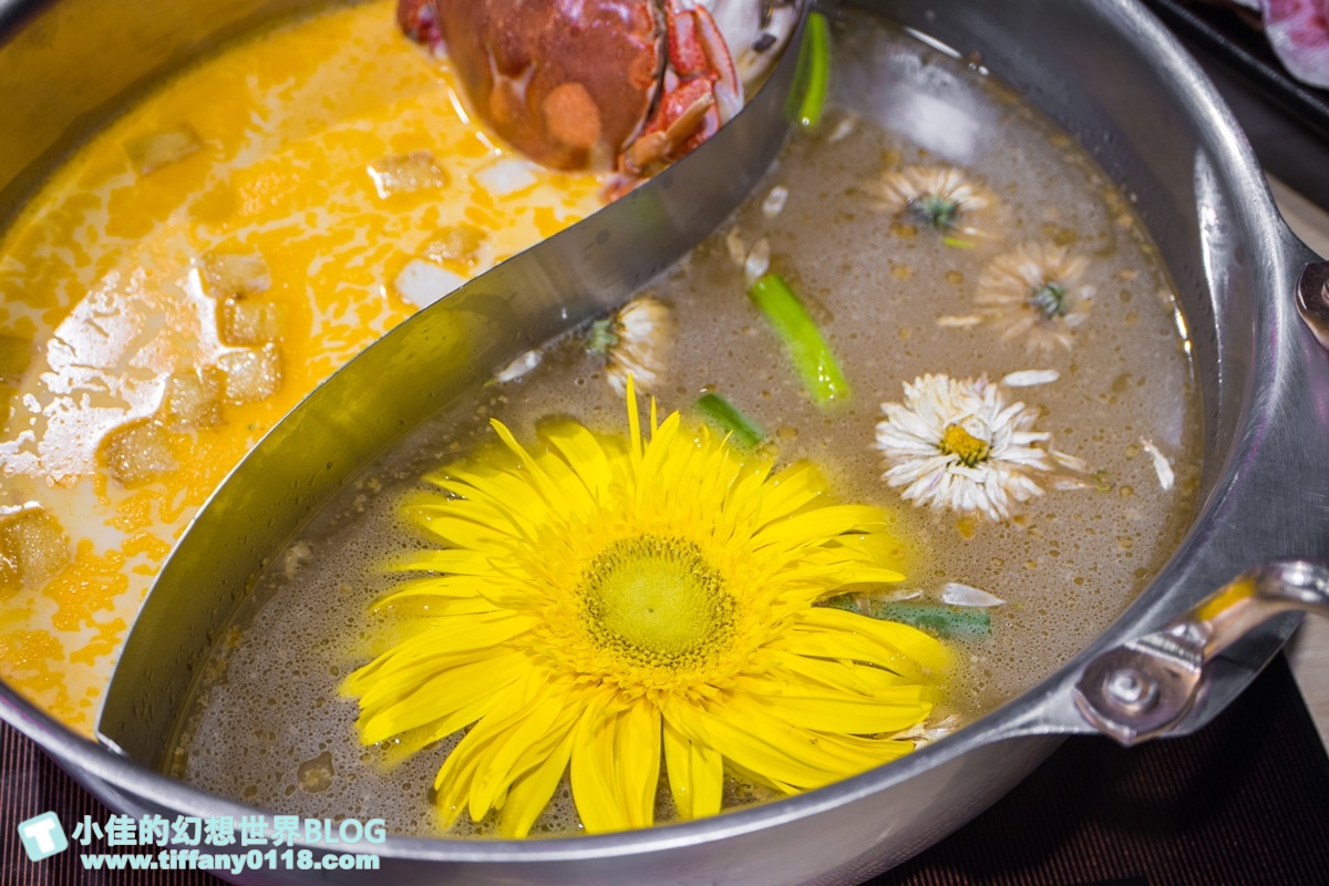 [公館美食]東雛菊風味鍋物/特色功夫湯底一喝上癮/食材用心擺盤超美的台北火鍋推薦