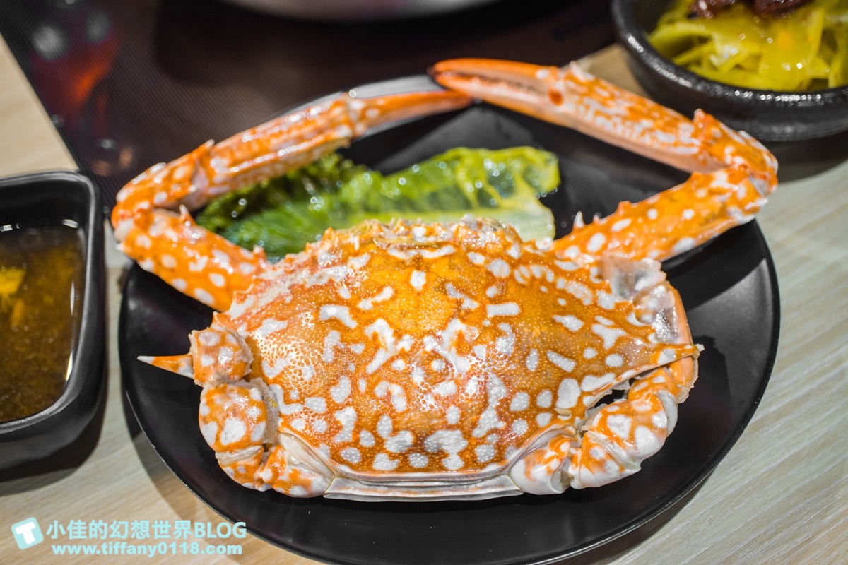 [公館美食]東雛菊風味鍋物/特色功夫湯底一喝上癮/食材用心擺盤超美的台北火鍋推薦