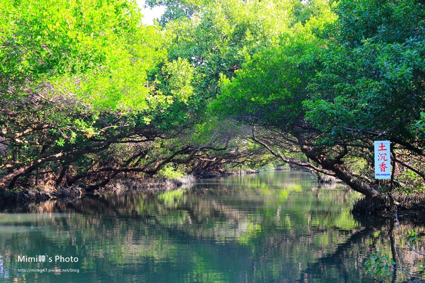 綠色之眼14.JPG 綠色之眼14.JPG