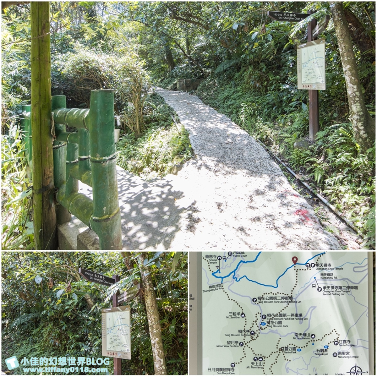 新北微笑山線親子一日遊/朝山步道+桐花公園+親子餐廳/拋下3C帶著小孩一起綠能玩山趣