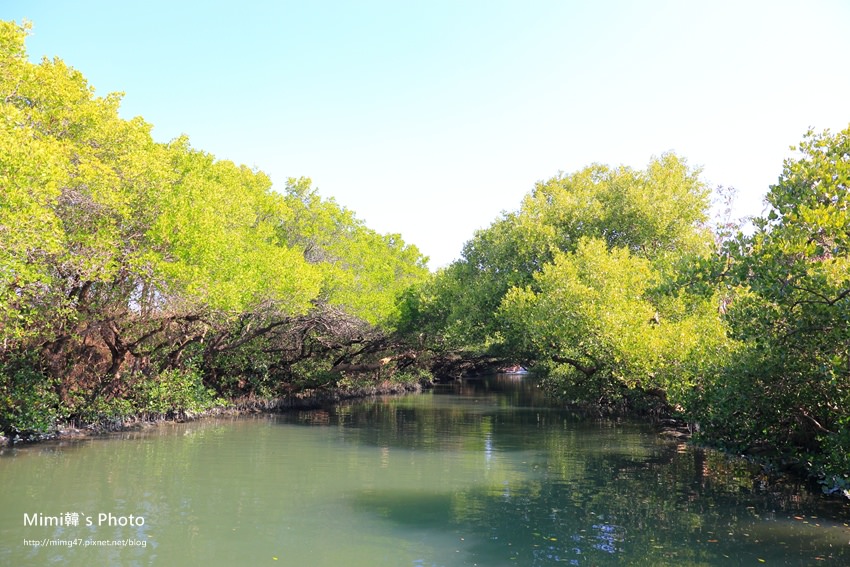 綠色之眼19.JPG 綠色之眼19.JPG