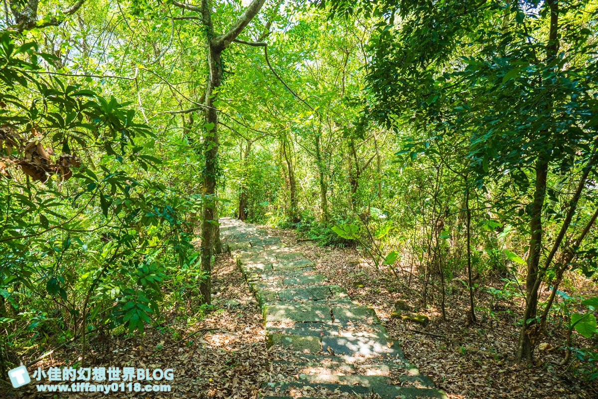 [宜蘭旅遊]九月限定冬山採柚趣/採柚+仁山植物園+梅花湖+合菜+3樣伴手禮只要799元完全超值