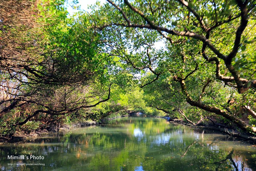 綠色之眼18.JPG 綠色之眼18.JPG