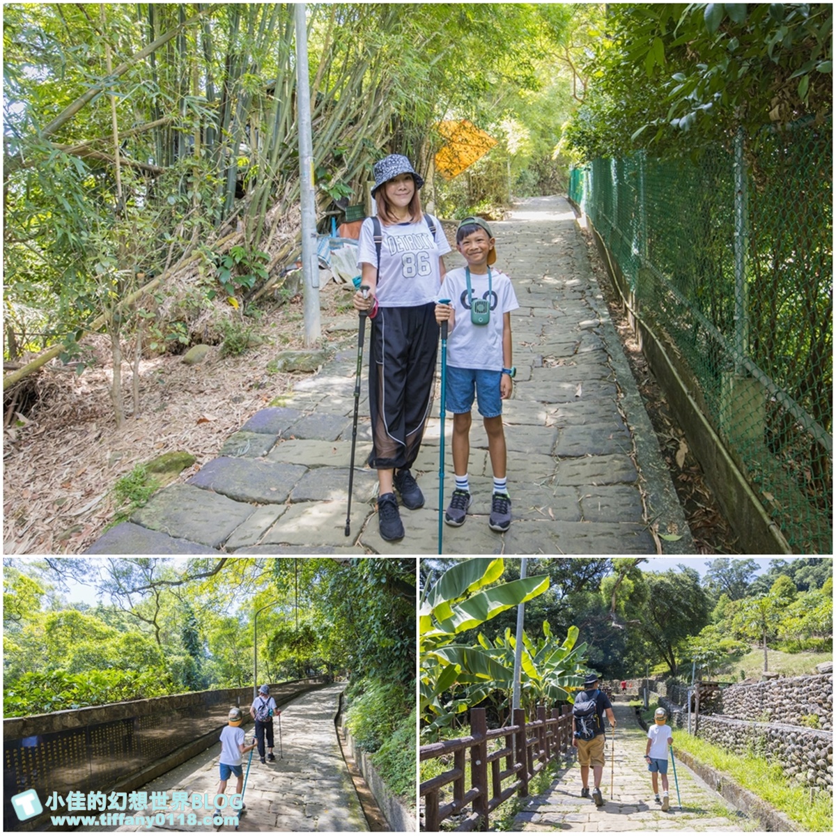 新北微笑山線親子一日遊/朝山步道+桐花公園+親子餐廳/拋下3C帶著小孩一起綠能玩山趣