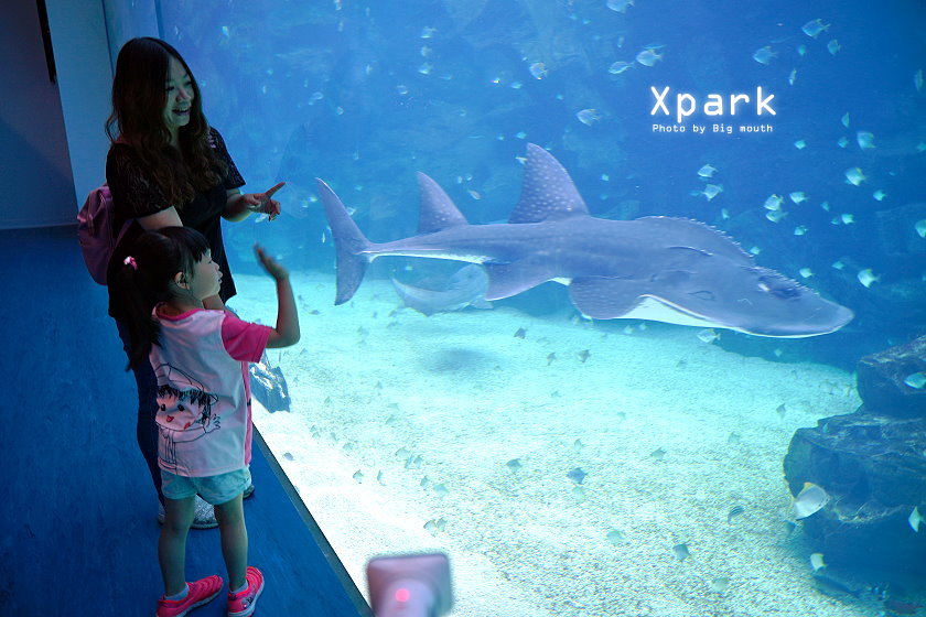 台灣好行大溪快線