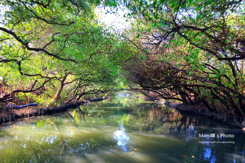 綠色之眼23.JPG 綠色之眼23.JPG