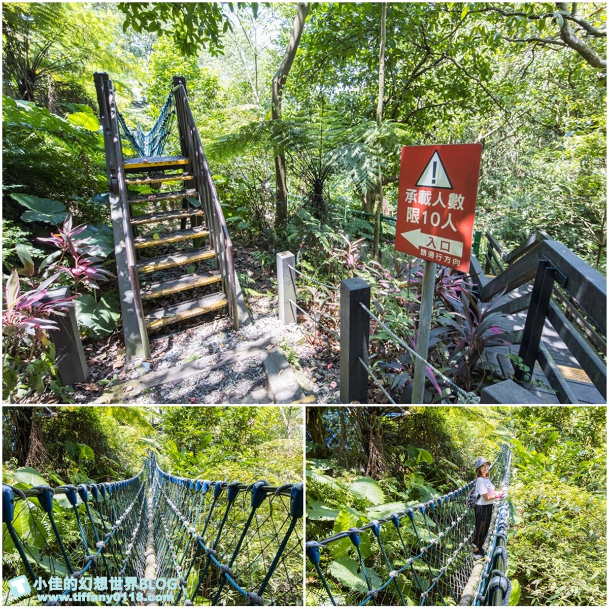 新北微笑山線親子一日遊/朝山步道+桐花公園+親子餐廳/拋下3C帶著小孩一起綠能玩山趣