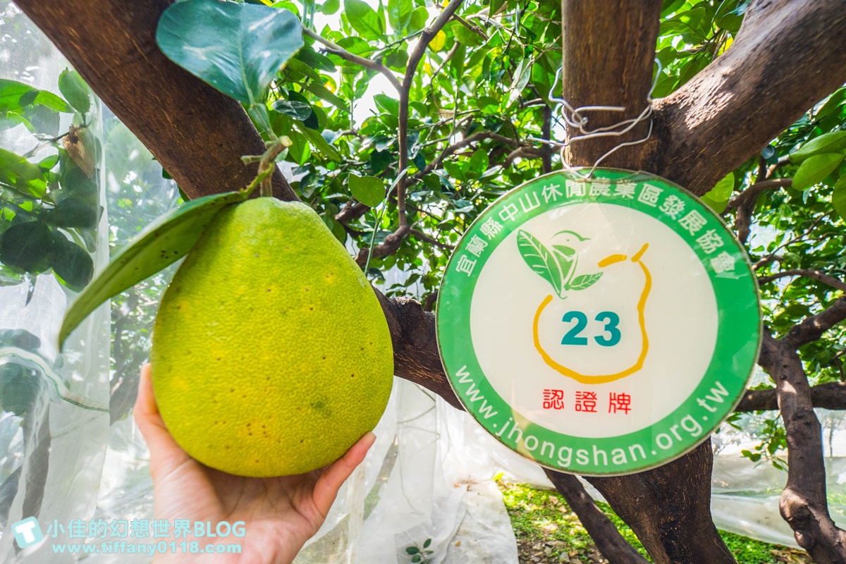 [宜蘭旅遊]九月限定冬山採柚趣/採柚+仁山植物園+梅花湖+合菜+3樣伴手禮只要799元完全超值