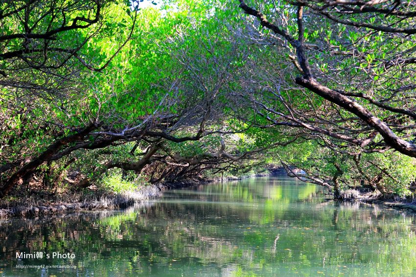 IMG_0103.JPG IMG_0103.JPG