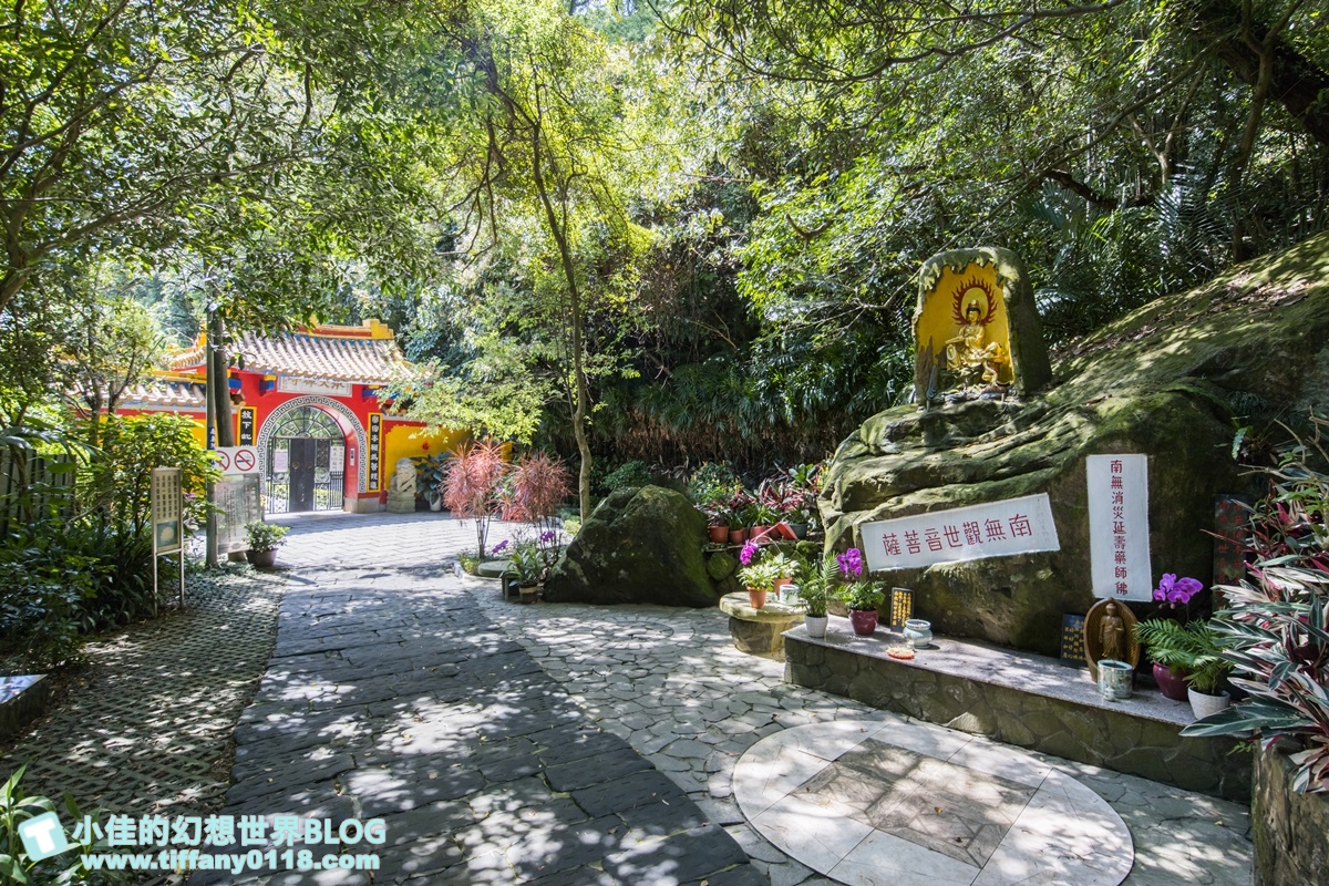 新北微笑山線親子一日遊/朝山步道+桐花公園+親子餐廳/拋下3C帶著小孩一起綠能玩山趣