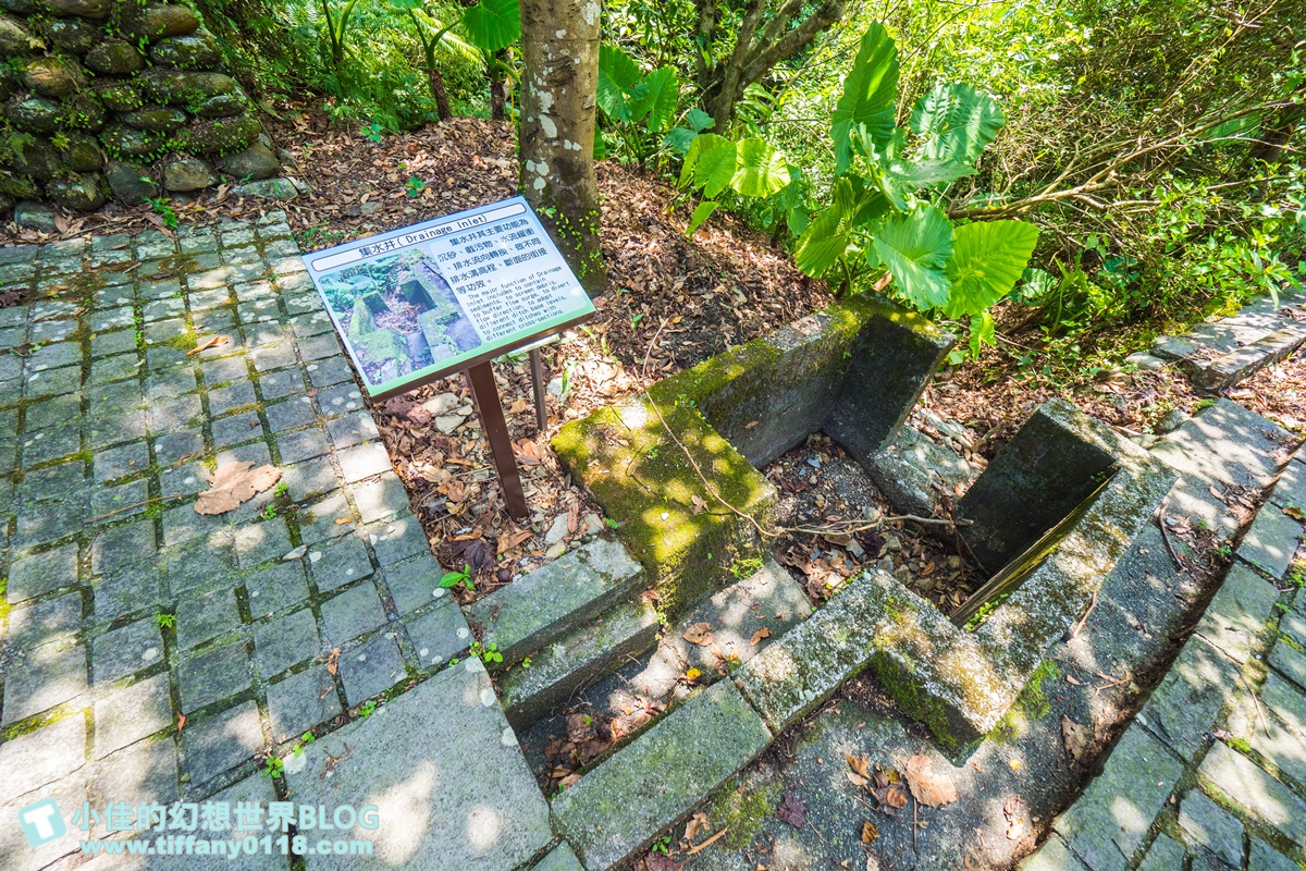 [宜蘭旅遊]九月限定冬山採柚趣/採柚+仁山植物園+梅花湖+合菜+3樣伴手禮只要799元完全超值