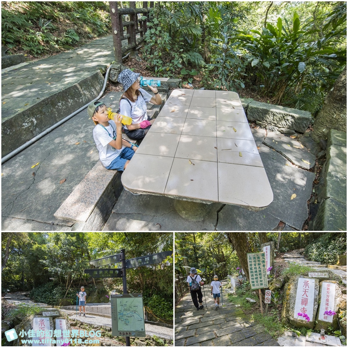 新北微笑山線親子一日遊/朝山步道+桐花公園+親子餐廳/拋下3C帶著小孩一起綠能玩山趣