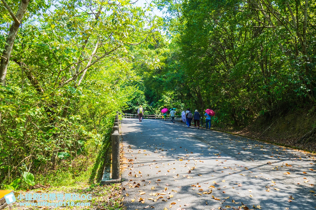 [宜蘭旅遊]九月限定冬山採柚趣/採柚+仁山植物園+梅花湖+合菜+3樣伴手禮只要799元完全超值