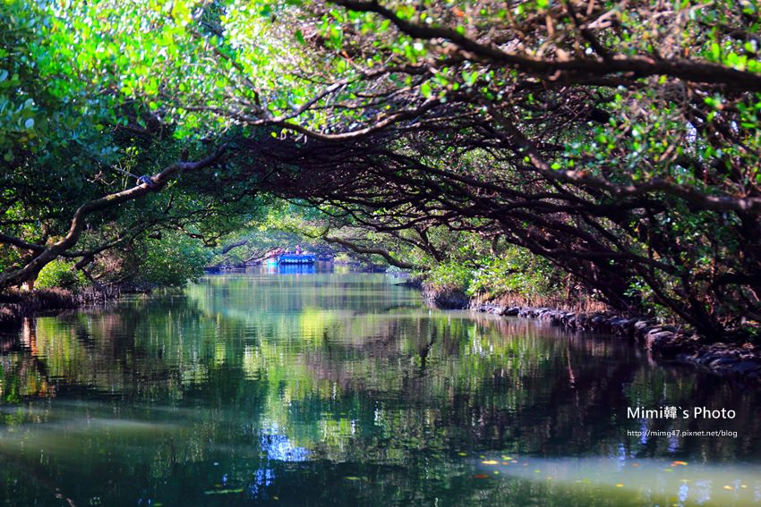 綠色之眼25.JPG 綠色之眼25.JPG