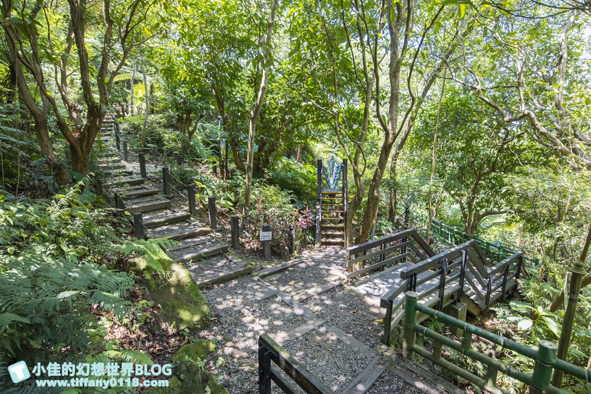 新北微笑山線親子一日遊/朝山步道+桐花公園+親子餐廳/拋下3C帶著小孩一起綠能玩山趣