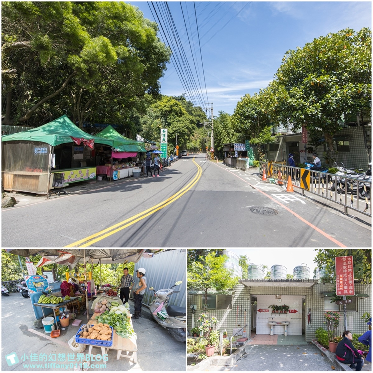 新北微笑山線親子一日遊/朝山步道+桐花公園+親子餐廳/拋下3C帶著小孩一起綠能玩山趣