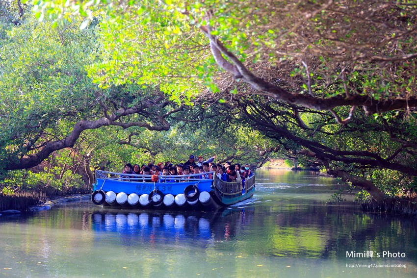 綠色之眼27.JPG 綠色之眼27.JPG