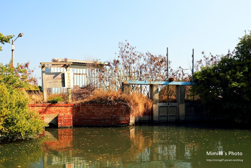 綠色之眼21.JPG 綠色之眼21.JPG