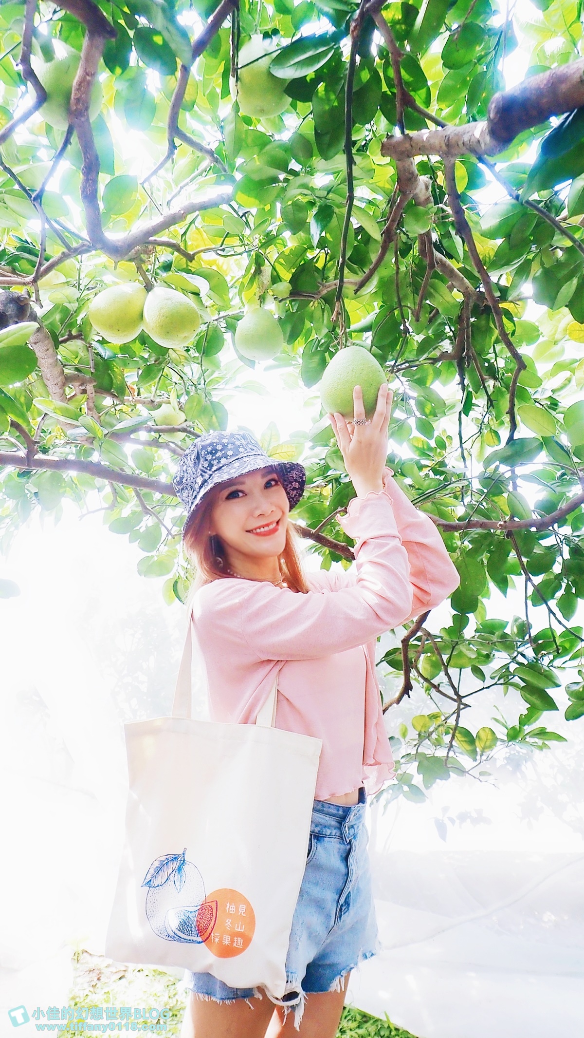 [宜蘭旅遊]九月限定冬山採柚趣/採柚+仁山植物園+梅花湖+合菜+3樣伴手禮只要799元完全超值