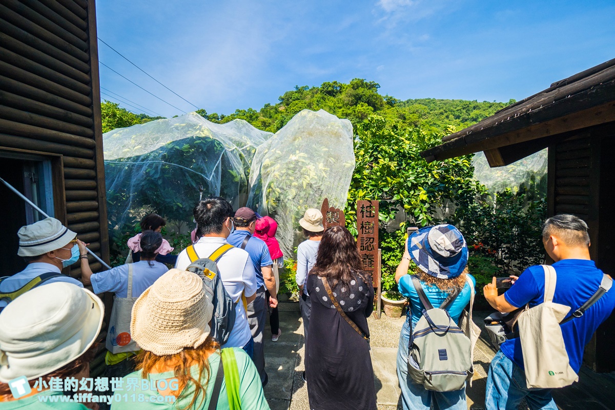 [宜蘭旅遊]九月限定冬山採柚趣/採柚+仁山植物園+梅花湖+合菜+3樣伴手禮只要799元完全超值