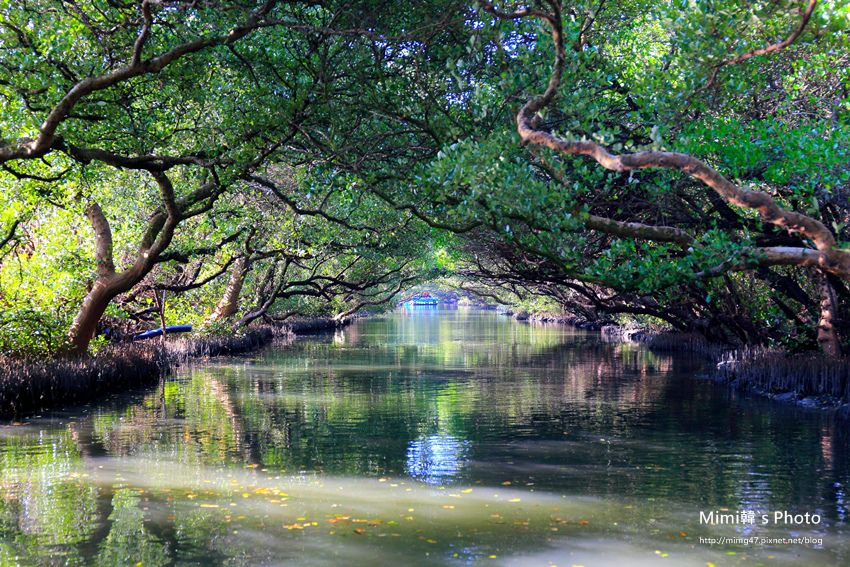 綠色之眼22.JPG 綠色之眼22.JPG