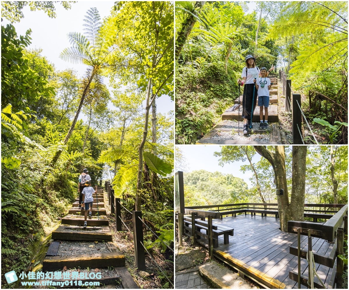 新北微笑山線親子一日遊/朝山步道+桐花公園+親子餐廳/拋下3C帶著小孩一起綠能玩山趣