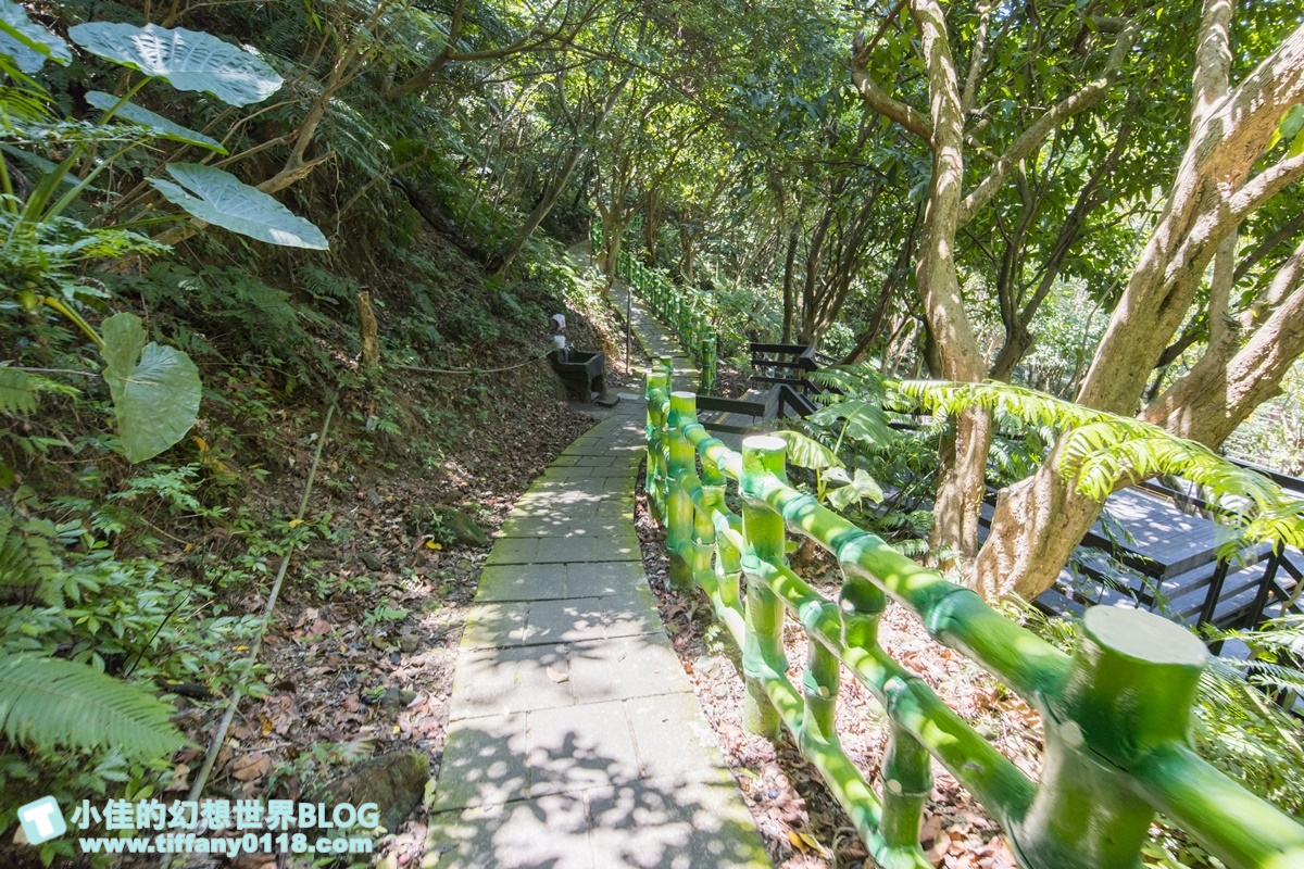 新北微笑山線親子一日遊/朝山步道+桐花公園+親子餐廳/拋下3C帶著小孩一起綠能玩山趣