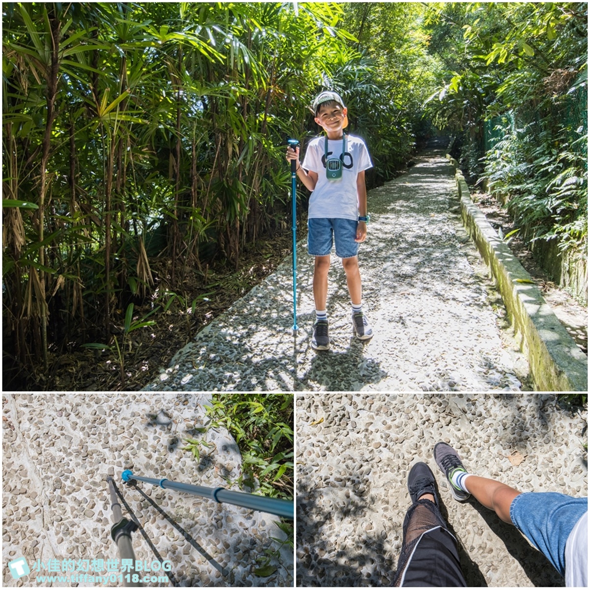新北微笑山線親子一日遊/朝山步道+桐花公園+親子餐廳/拋下3C帶著小孩一起綠能玩山趣
