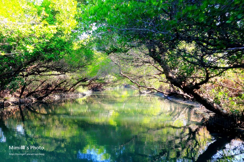 綠色之眼17.JPG 綠色之眼17.JPG