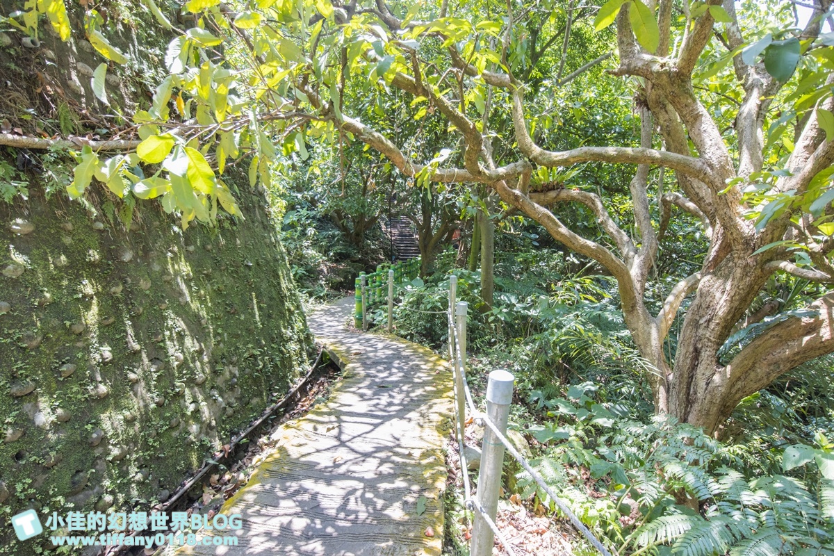 新北微笑山線親子一日遊/朝山步道+桐花公園+親子餐廳/拋下3C帶著小孩一起綠能玩山趣