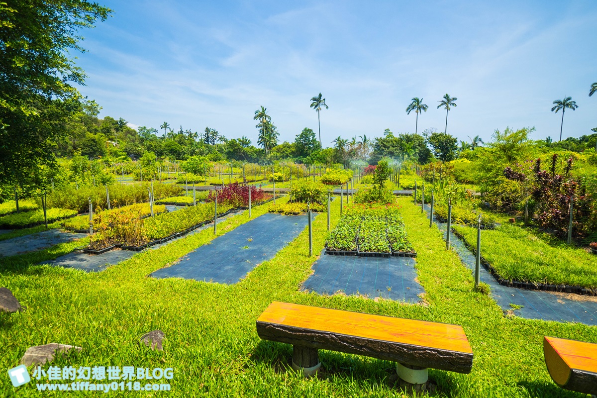 [宜蘭旅遊]九月限定冬山採柚趣/採柚+仁山植物園+梅花湖+合菜+3樣伴手禮只要799元完全超值