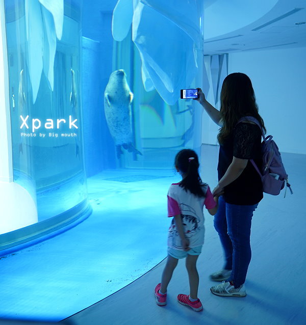 台灣好行大溪快線