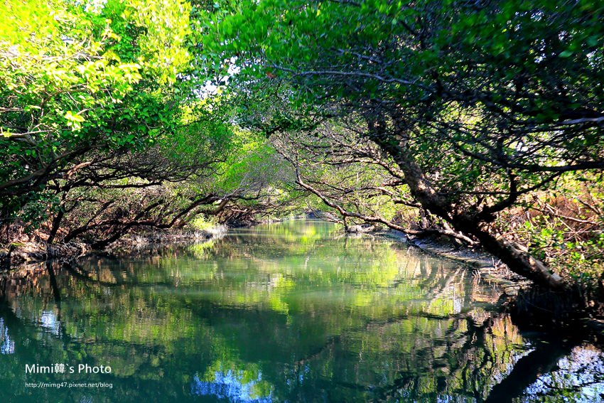 綠色之眼15.JPG 綠色之眼15.JPG