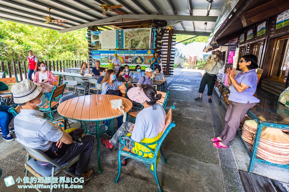 [宜蘭旅遊]九月限定冬山採柚趣/採柚+仁山植物園+梅花湖+合菜+3樣伴手禮只要799元完全超值