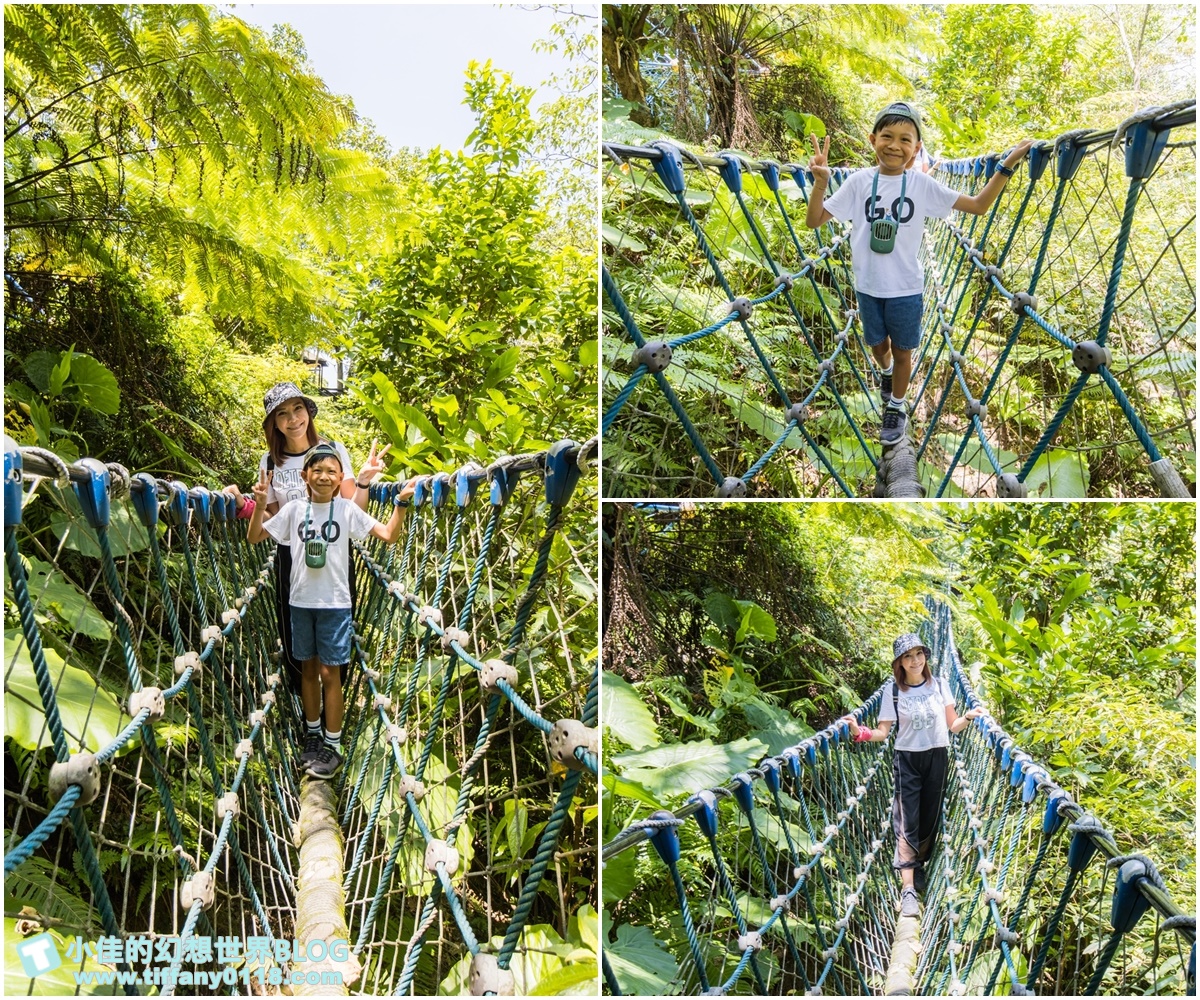 新北微笑山線親子一日遊/朝山步道+桐花公園+親子餐廳/拋下3C帶著小孩一起綠能玩山趣