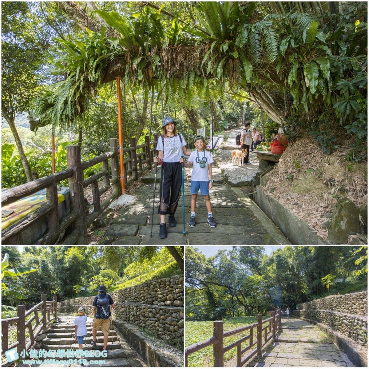 新北微笑山線親子一日遊/朝山步道+桐花公園+親子餐廳/拋下3C帶著小孩一起綠能玩山趣