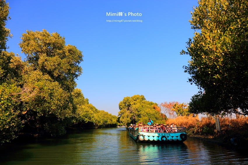 綠色之眼2.JPG 綠色之眼2.JPG