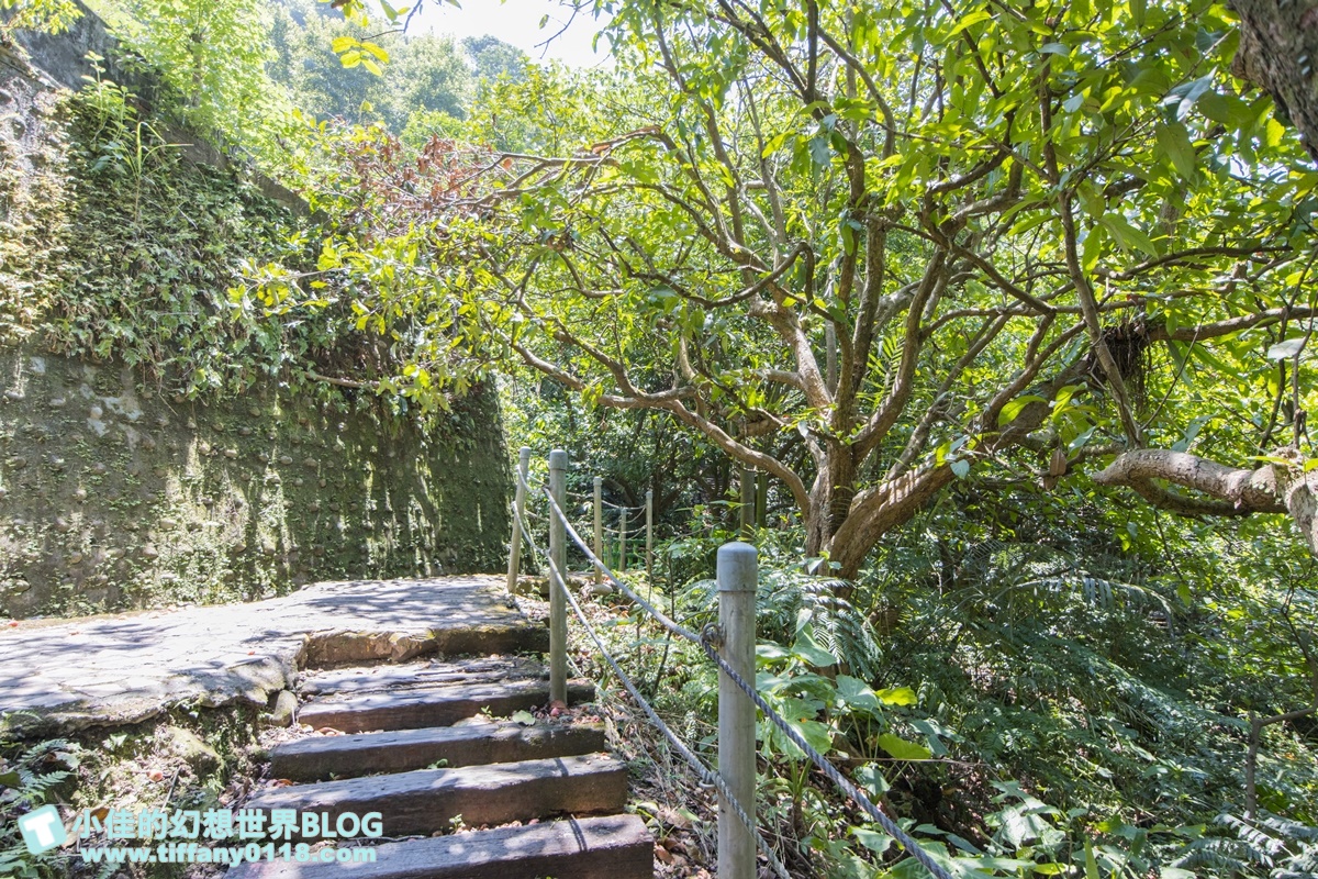 新北微笑山線親子一日遊/朝山步道+桐花公園+親子餐廳/拋下3C帶著小孩一起綠能玩山趣