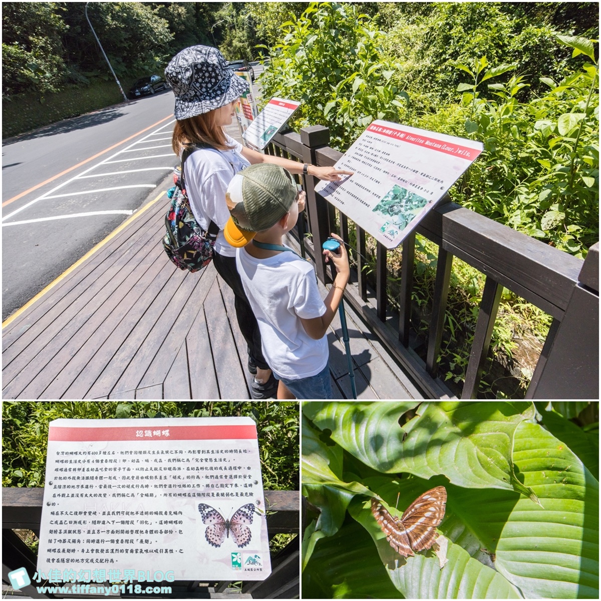 新北微笑山線親子一日遊/朝山步道+桐花公園+親子餐廳/拋下3C帶著小孩一起綠能玩山趣